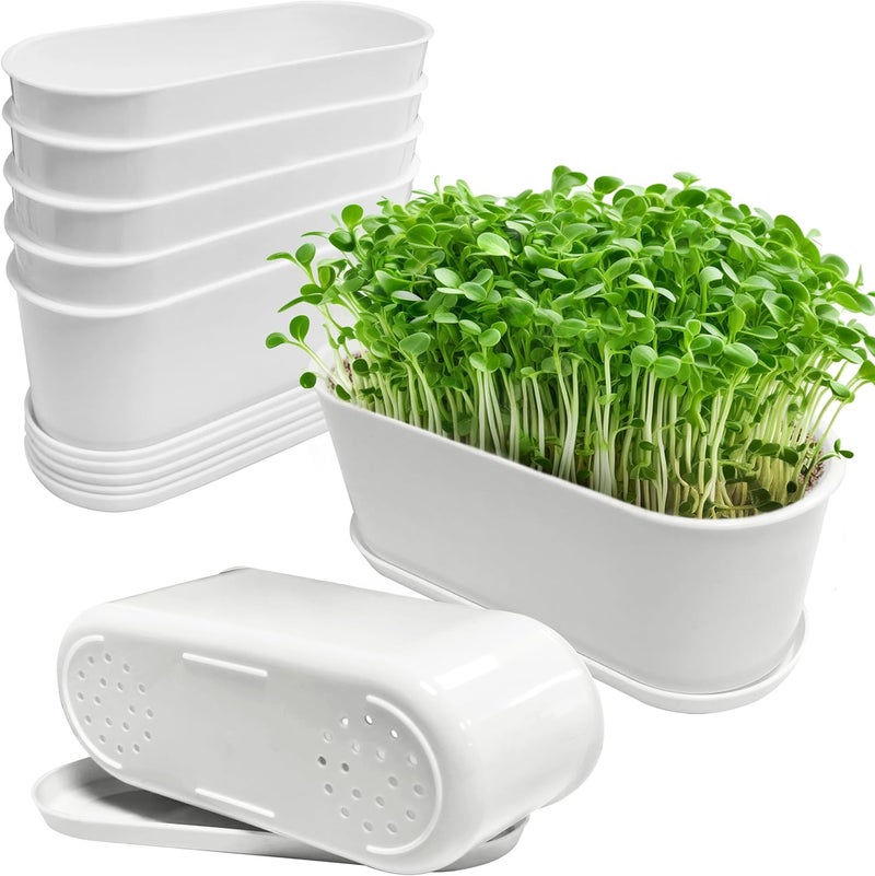 Torfican 5 Set Window Herb Planter Box Rectangular,8.5x3.5 Inch White Plastic Planters with Multiple Drainage Holes and Trays,Indoor Succulent Cactus Mint Flower Pot for Windowsill,Garden Balcony - Image 1